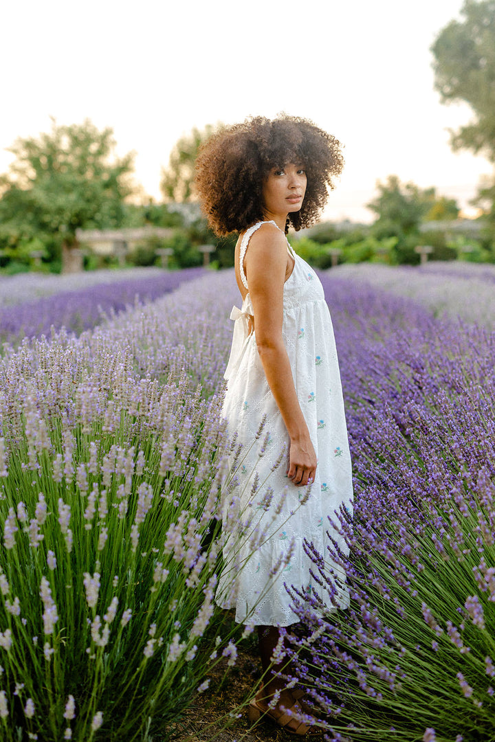 Alondra Embroidered Eyelet Dress